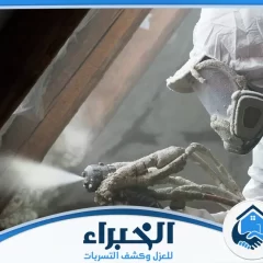 شركة عزل فوم بعنيزة