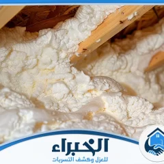 شركة عزل فوم بالباحة
