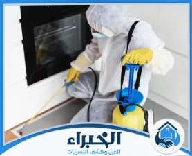 شركة مكافحة حشرات بتبوك